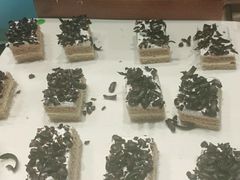 -南美元生态大酒店(海珠店)