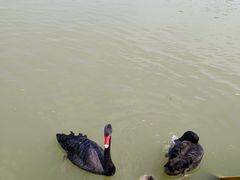 -艾溪湖湿地公园