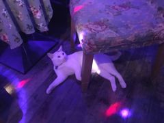 -星宿秘码(鼓浪屿老店)