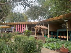 -苏记溪河鲢鱼庄(天府新区店)