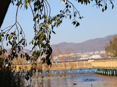 -洱海月湿地公园