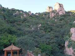 -大岭沟猕猴桃谷风景区