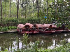 -合肥滨湖国家森林公园