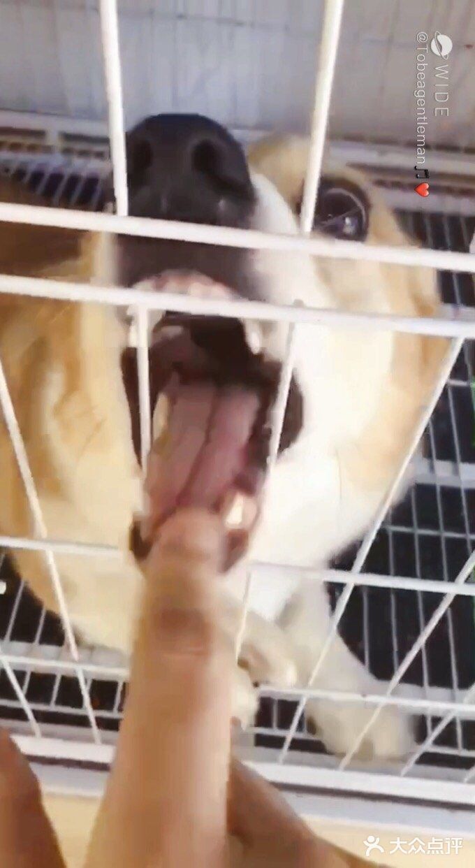 一直在狗刨，出來不到，哈哈哈哈哈哈哈哈哈！