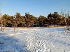 -长春公园(普阳街道)