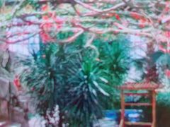 -郑州银基黄帝宫御温泉