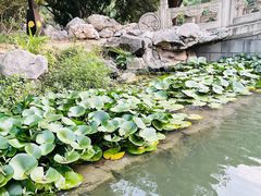 -西苑公园