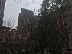 -青山湖·香溢花城