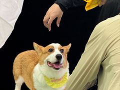 -开元商城(西旺店)