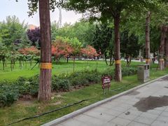 -西清公园