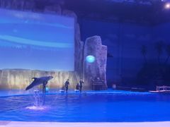 -华夏文旅海洋公园