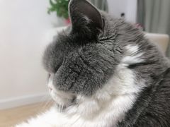 -水一方现烤鱿鱼丝大连特产(高新苏宁百货店)