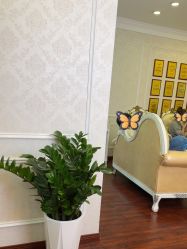 -武汉五洲整形外科医院