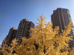 -鹿港小镇(黄金店)