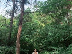 -青龙山国家森林公园