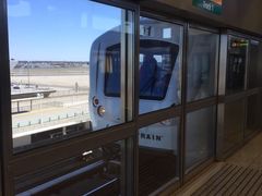 -约翰·菲茨杰拉德·肯尼迪国际机场