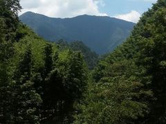 android_upload_pic-太湖源风景区