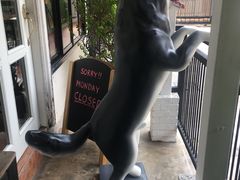 -TrueLove @ Neverland (Husky Cafe)