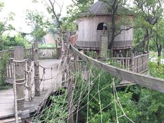 -田园东方蜜桃村的田野营地