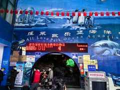 -蓬莱欧乐堡海洋极地世界