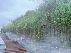 -采石矶景区