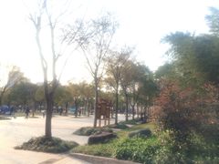 -新江湾城公园