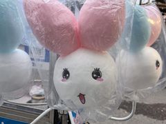 -高东镇樱花园