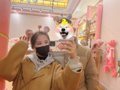 -合肥融创乐园