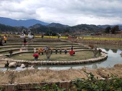 -福建土楼（华安）旅游区•大地土楼群