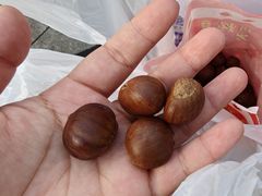 -阿男野栗王(金门路店)