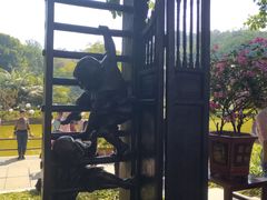-广州雕塑公园
