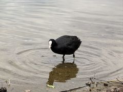 -太阳宫公园