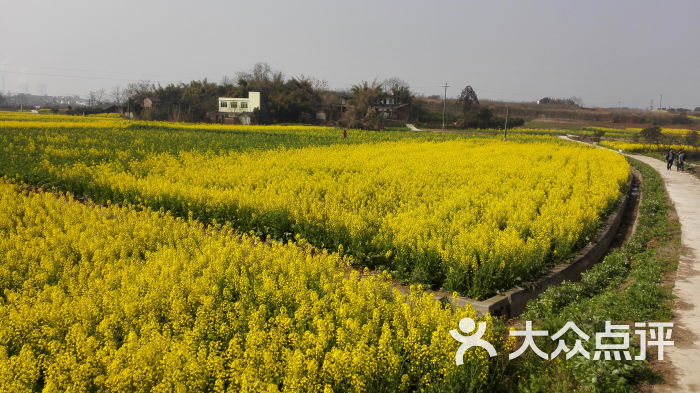 三溪白廟村-圖片-金堂縣周邊遊-大眾點評網