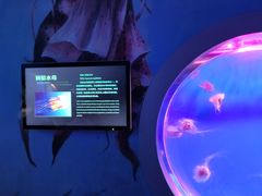-泉城欧乐堡海洋极地世界