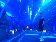 -成都浩海立方海洋公园