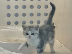 -comecome来吧宠物(奥克斯中心店)