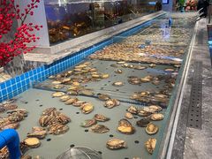 -一方渔歌蒸汽海鲜自助(文化路万达广场店)