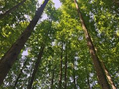 -南京金牛湖风景区