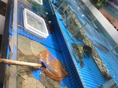 -光明渔港(海悦天地店)