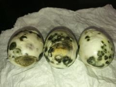 -物美超市(通州果园店)