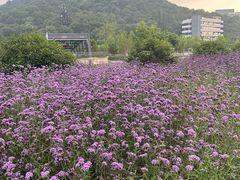 -浙江大学(玉泉校区)