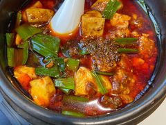 -陈麻婆豆腐总店