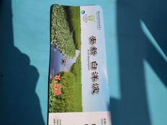-白洋淀景区