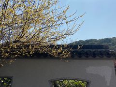 -无锡梅园公园
