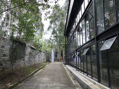 外院静谧小道-桉树林A coffee 森林餐厅(三圣乡店)
