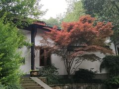 -吴山景区