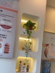 -禾壹净·素颜美问题肌肤修护中心