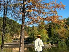 -云溪植物园