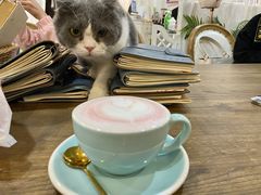 -共舞时光猫咖·狗咖(新街口店)