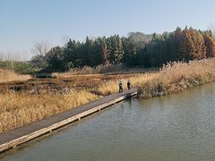 -溱湖国家湿地公园